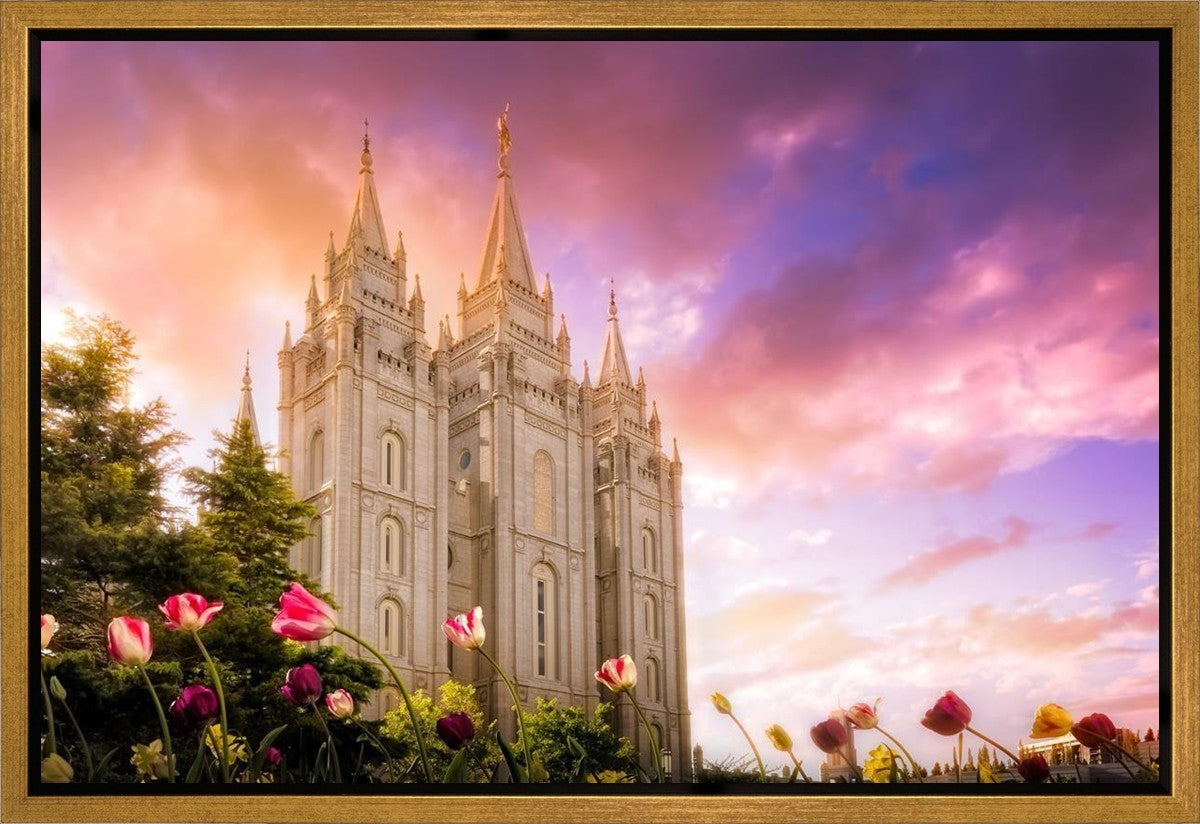 Salt Lake Tulips Gallery Wrap