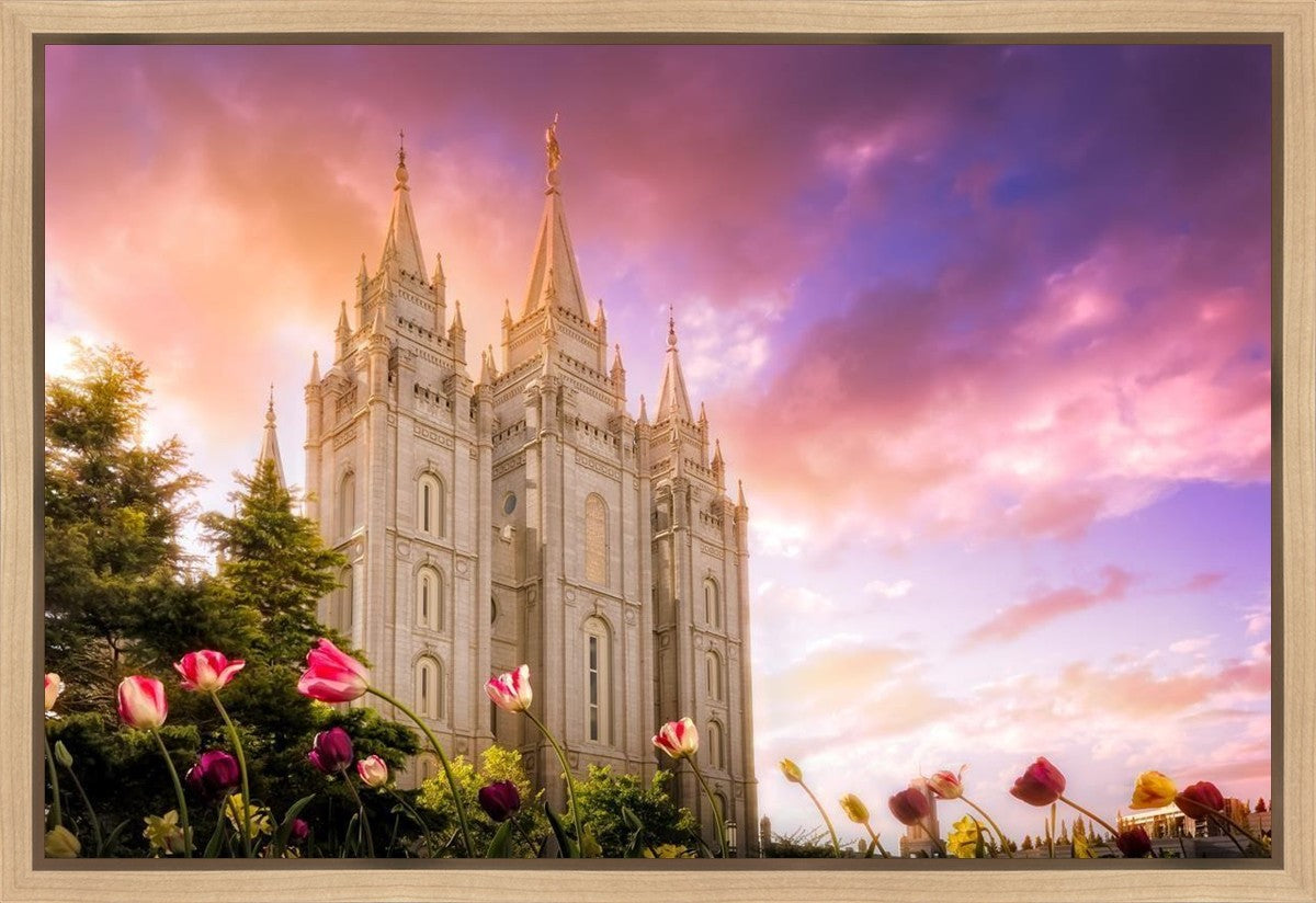 Salt Lake Tulips Gallery Wrap
