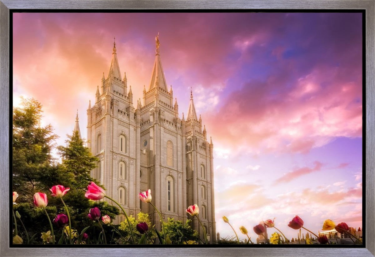 Salt Lake Tulips Gallery Wrap