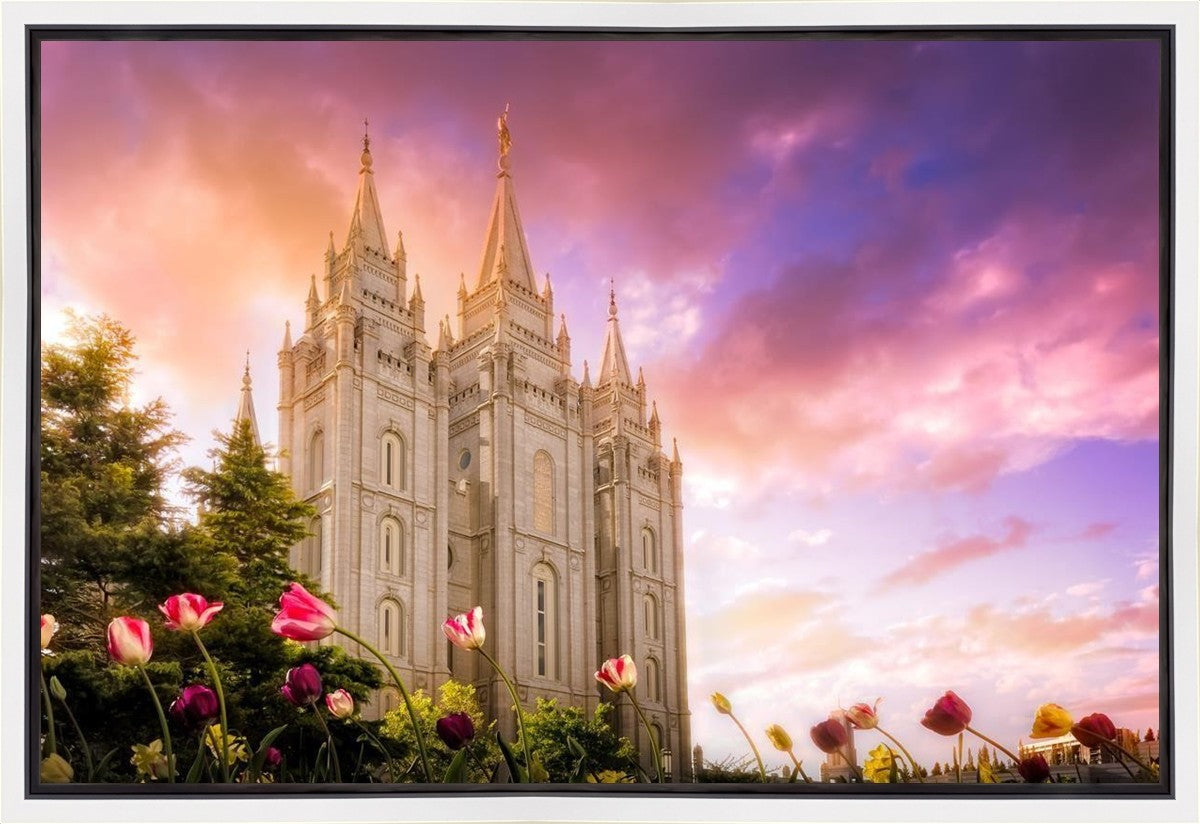 Salt Lake Tulips Gallery Wrap