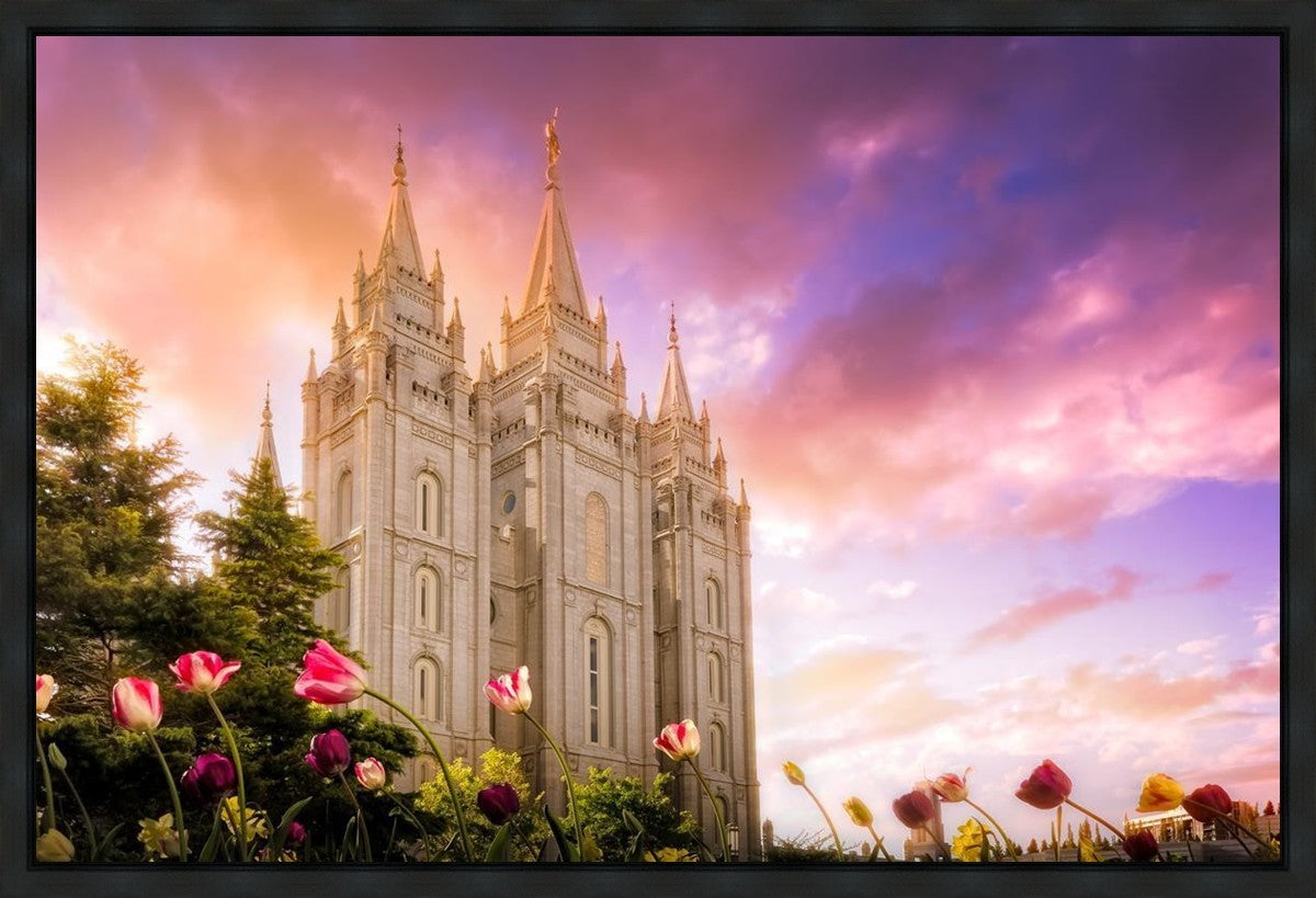 Salt Lake Tulips Gallery Wrap