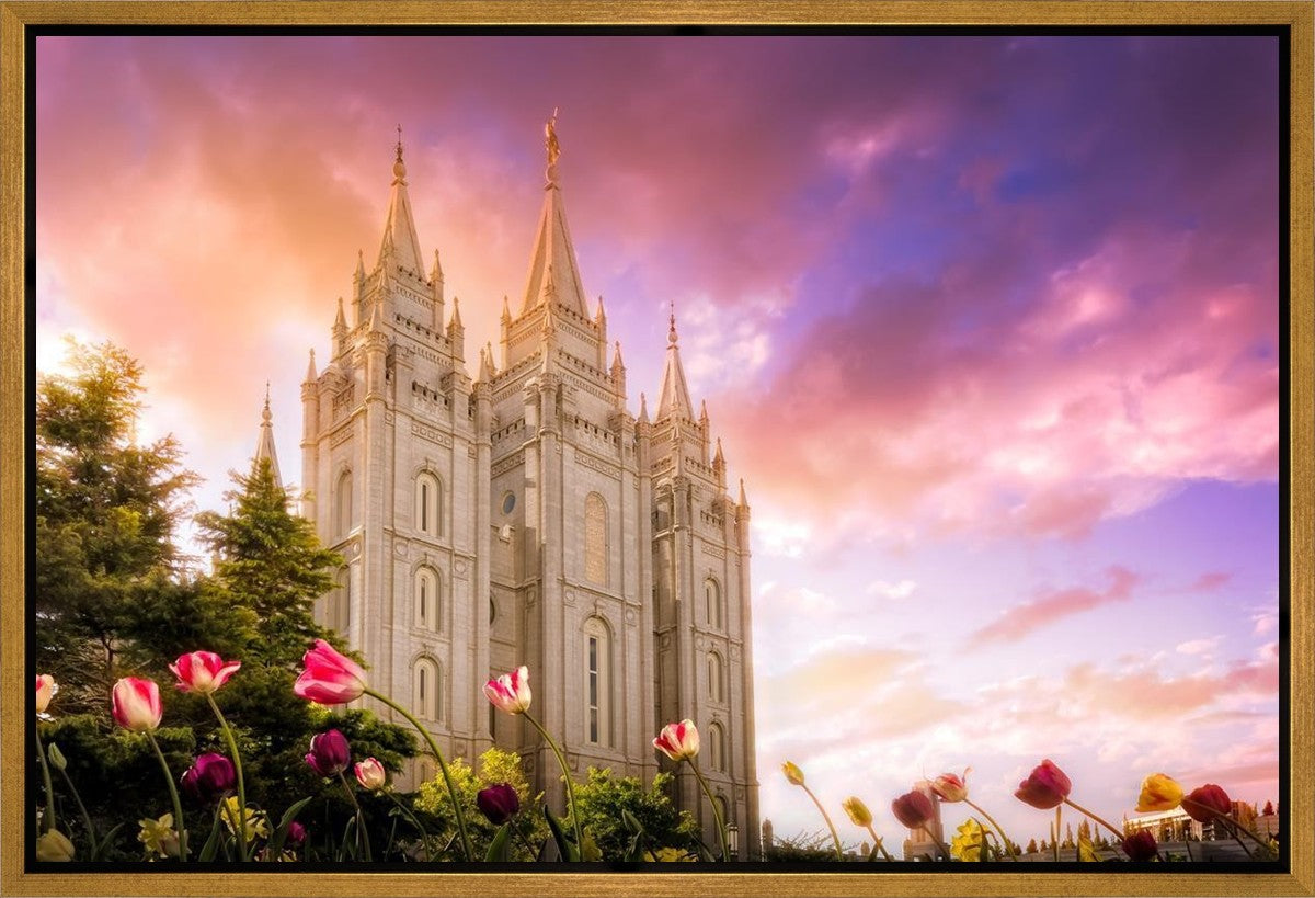 Salt Lake Tulips Gallery Wrap