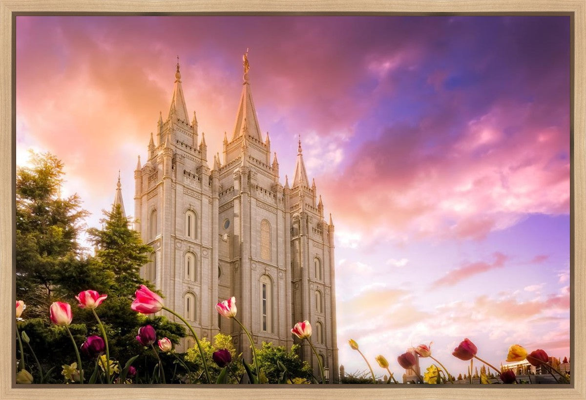 Salt Lake Tulips Gallery Wrap
