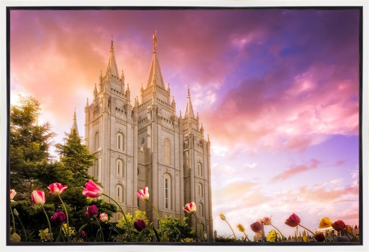 Salt Lake Tulips Gallery Wrap