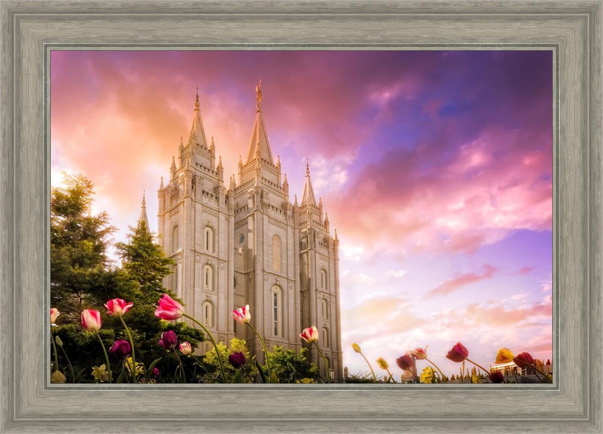Salt Lake Tulips