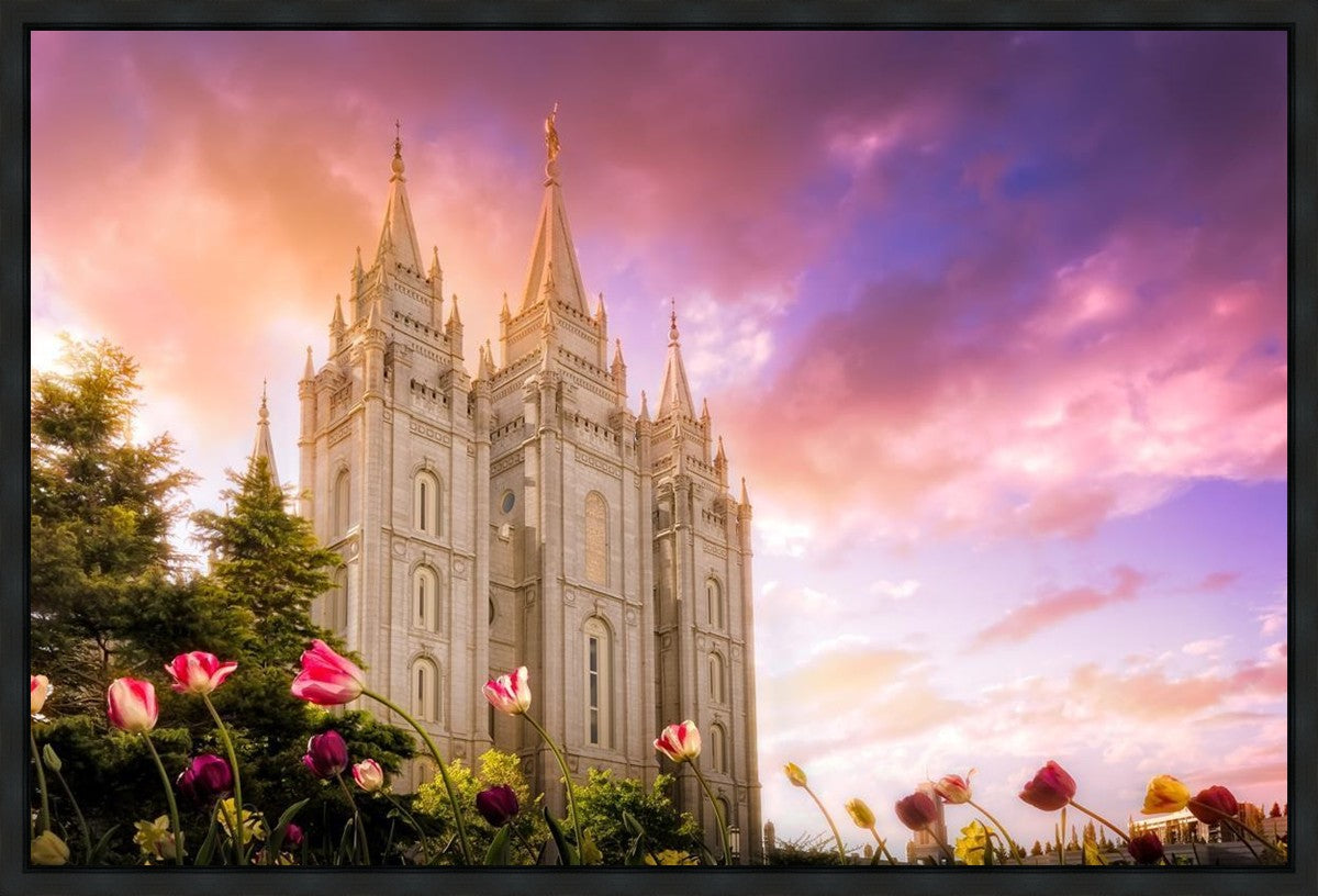 Salt Lake Tulips Gallery Wrap