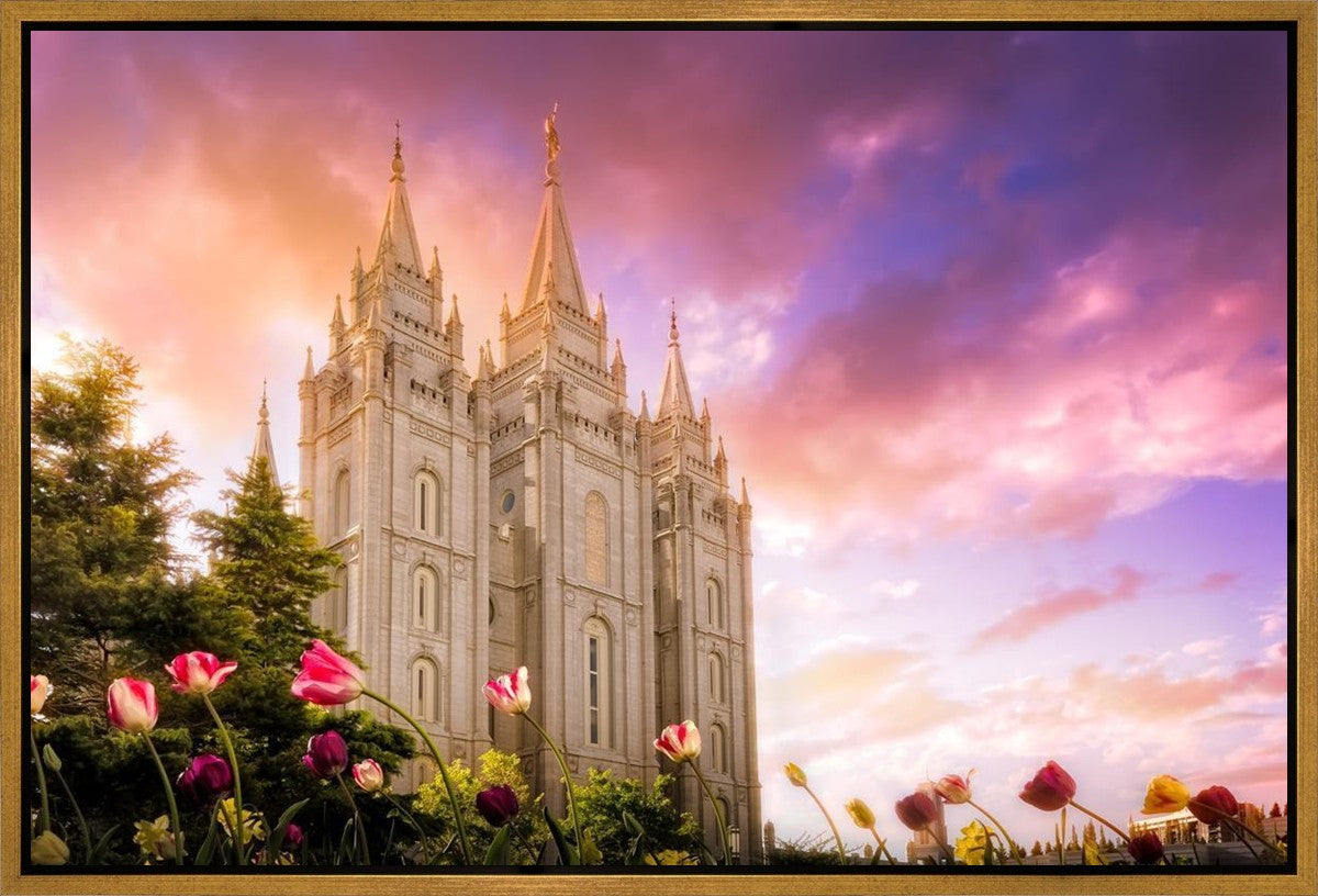 Salt Lake Tulips Gallery Wrap