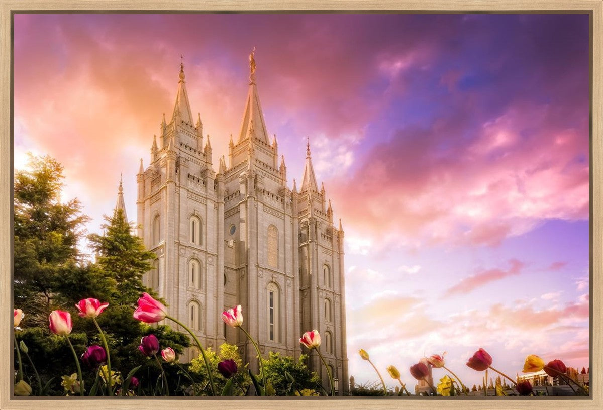 Salt Lake Tulips Gallery Wrap