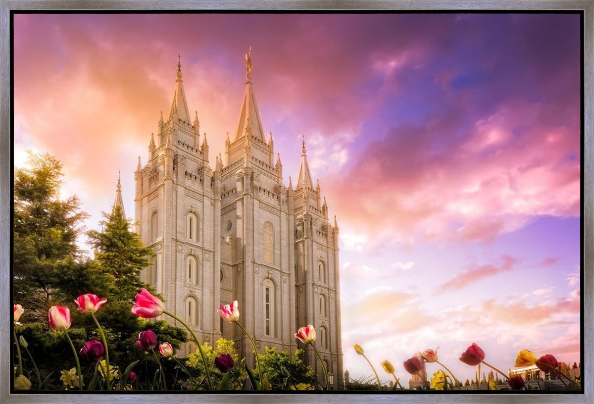 Salt Lake Tulips Gallery Wrap