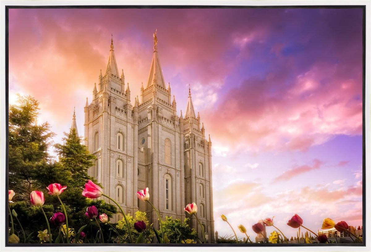 Salt Lake Tulips Gallery Wrap