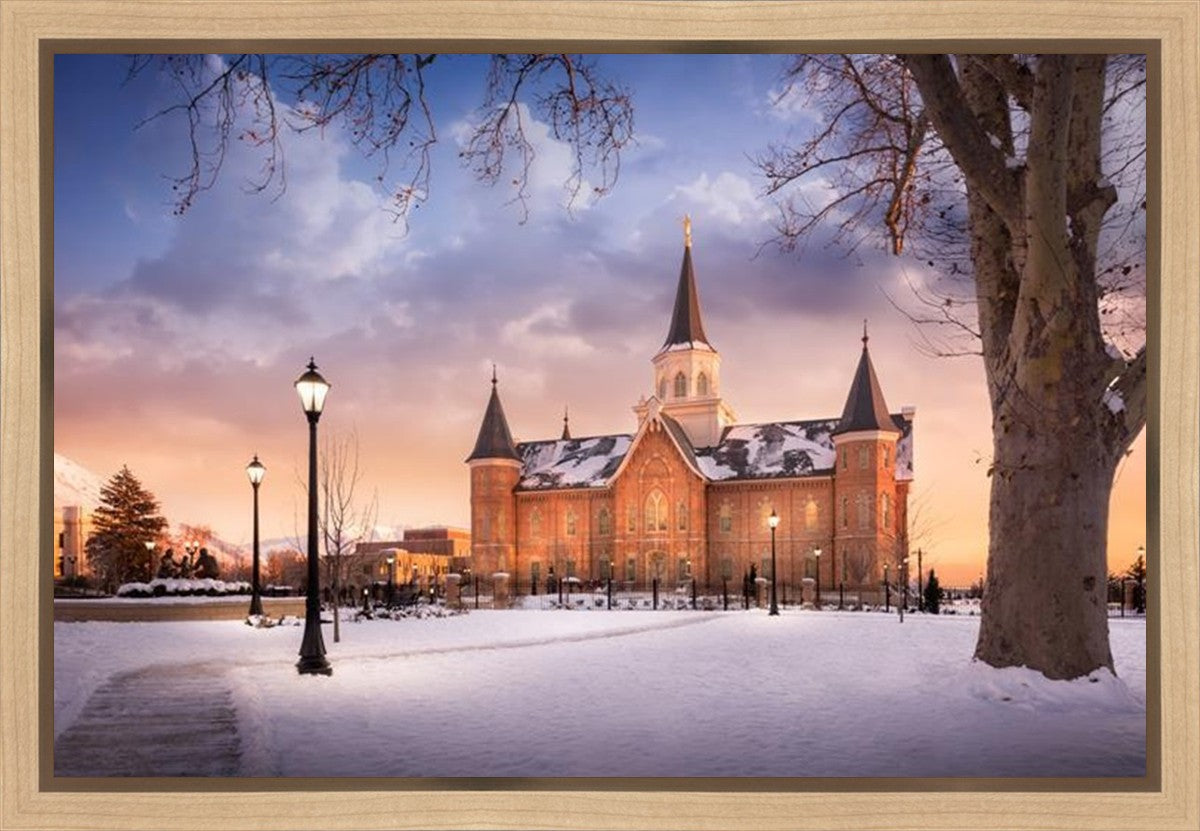 Provo CC, Winter Wonderland Gallery Wrap
