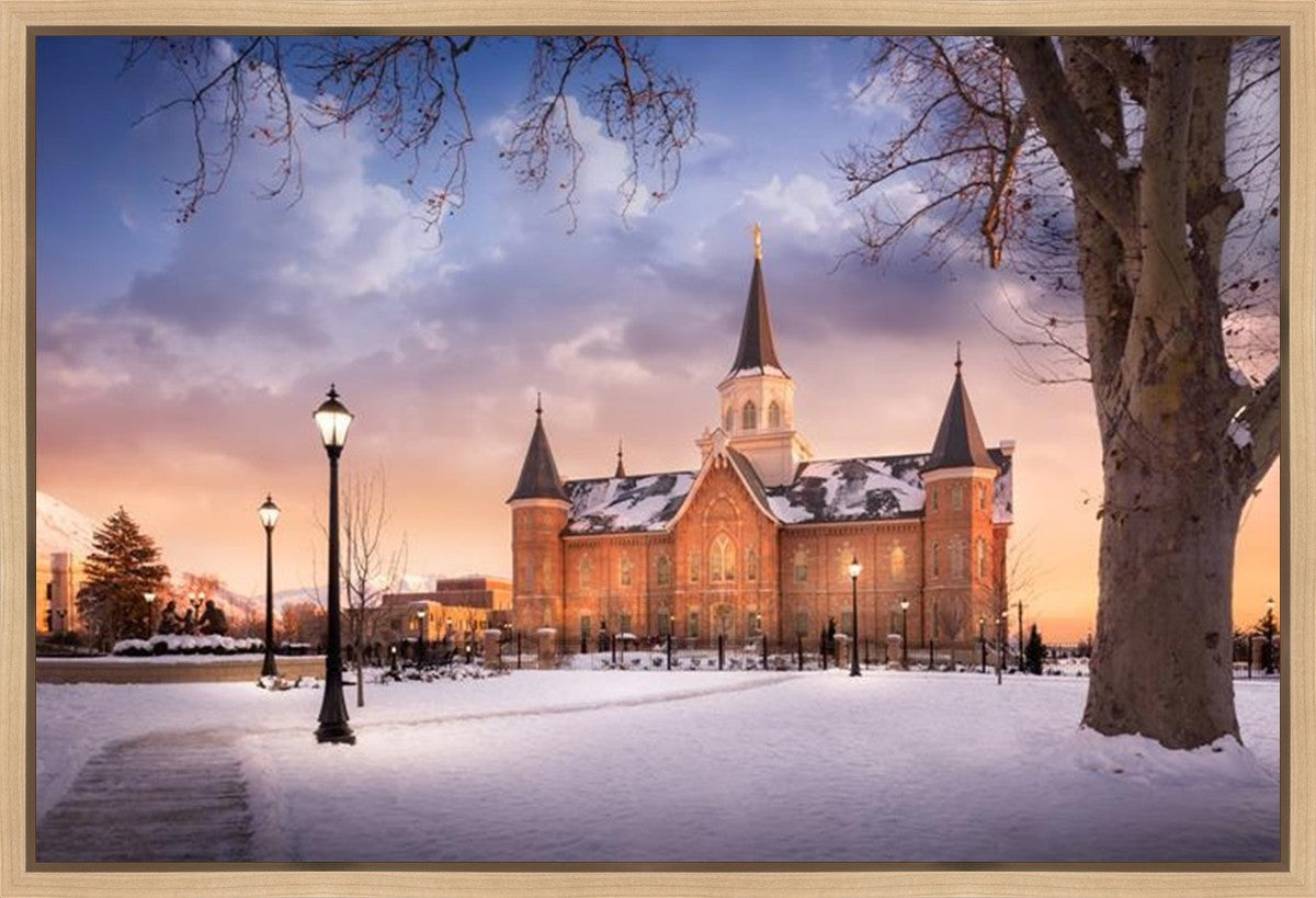 Provo CC, Winter Wonderland Gallery Wrap