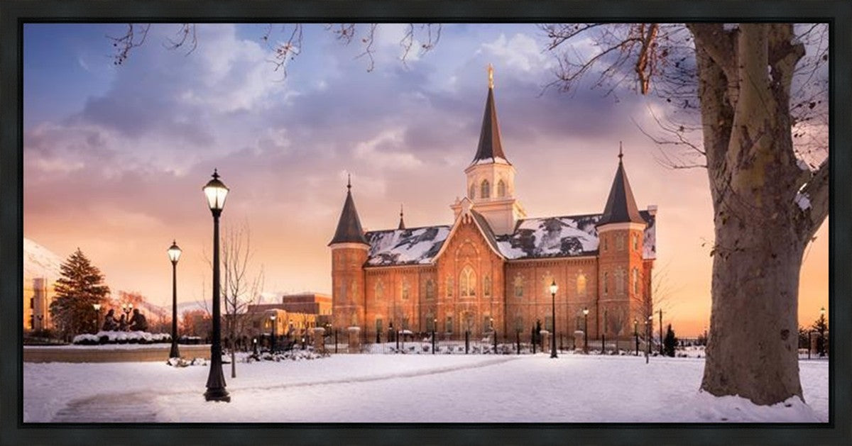 Provo CC, Winter Wonderland Gallery Wrap