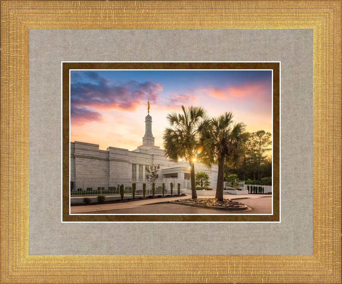Columbia Palmetto Sunset