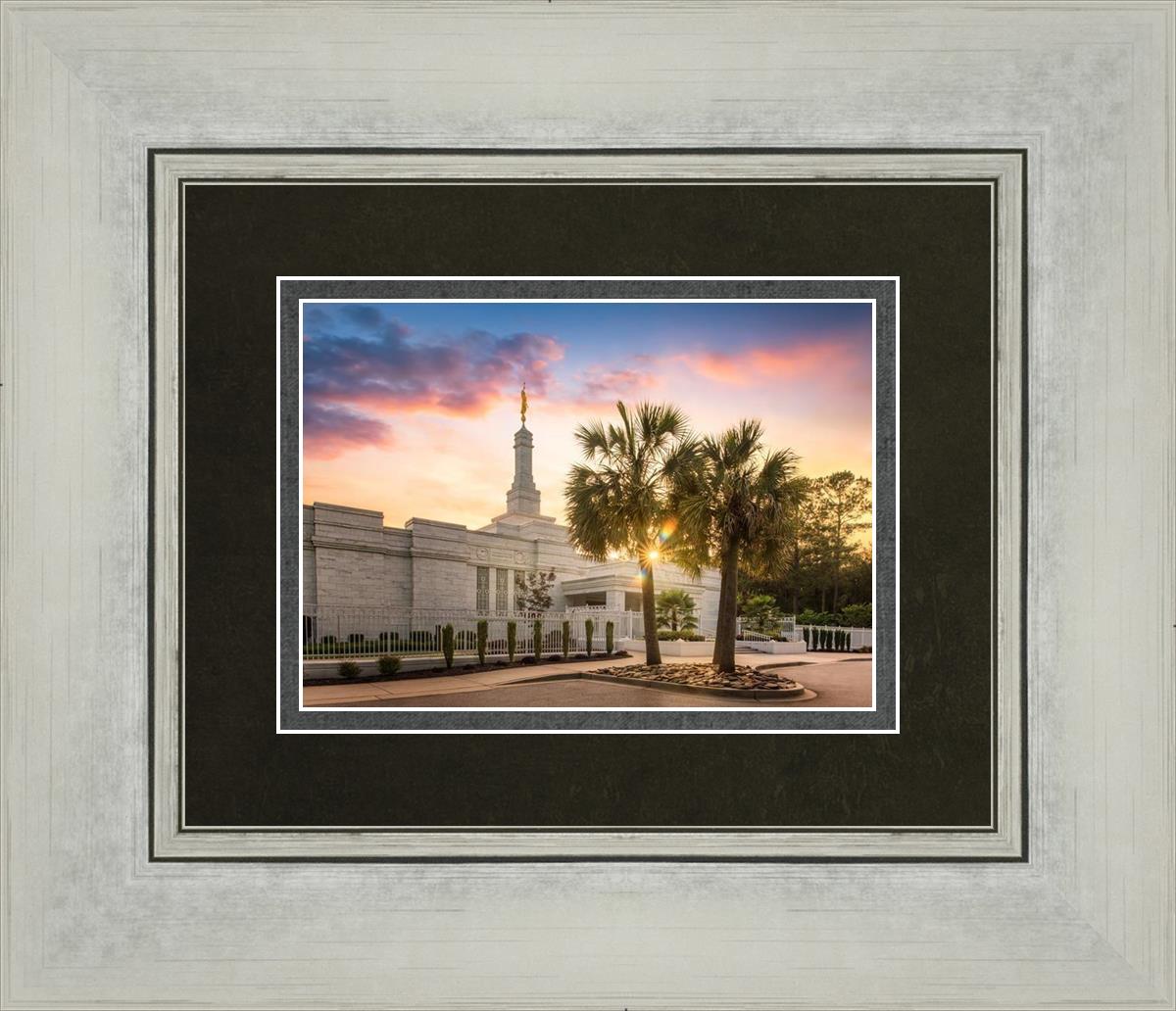 Columbia Palmetto Sunset