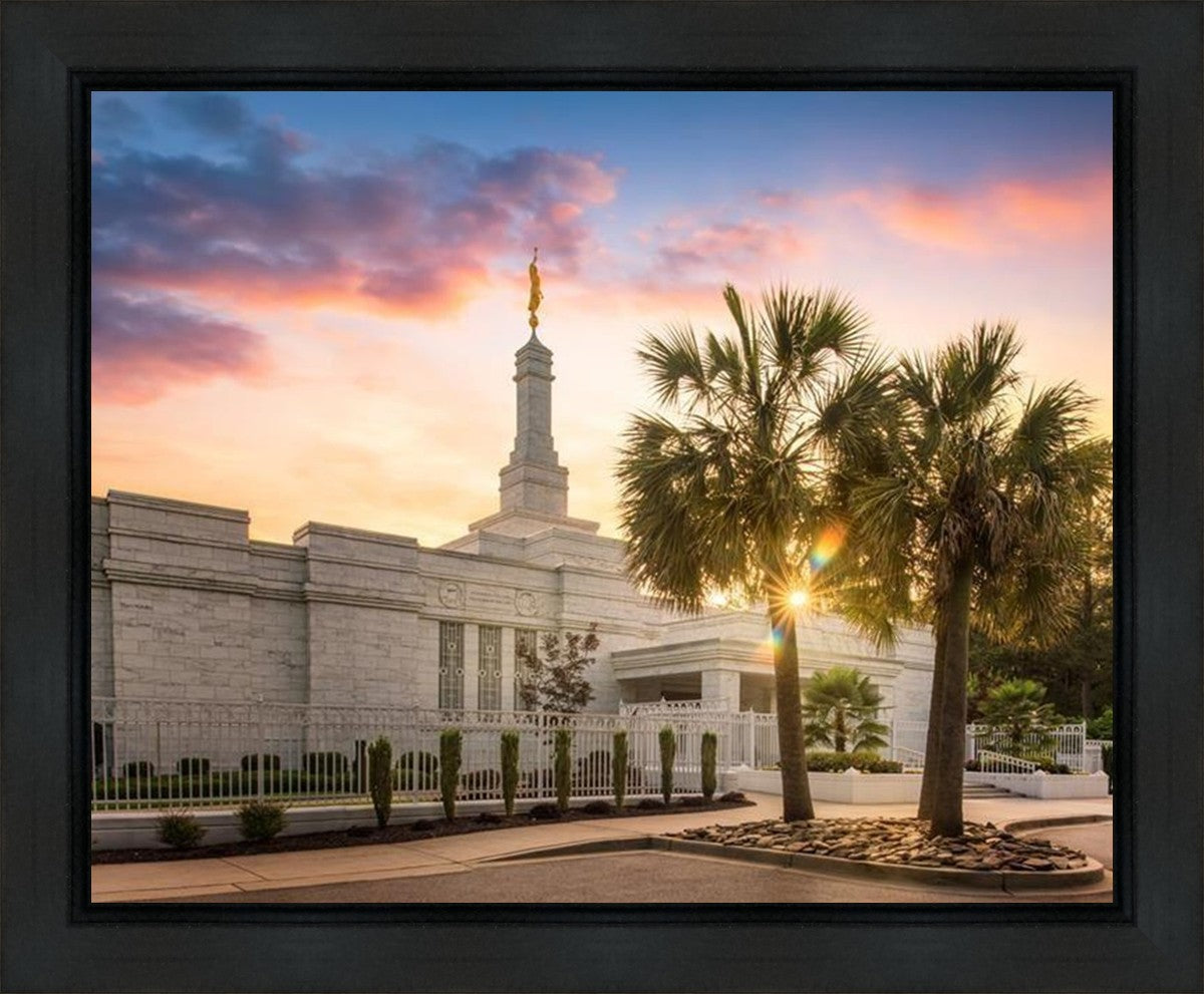 Columbia Palmetto Sunset Gallery Wrap