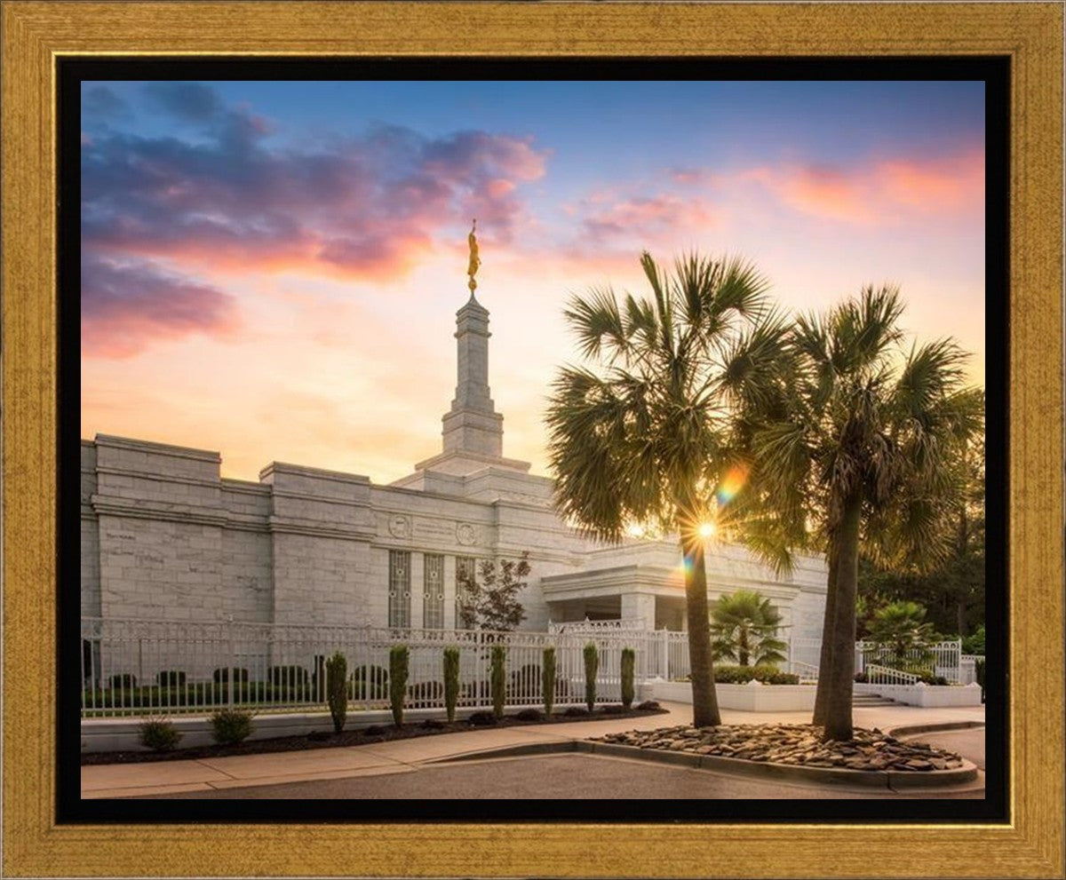 Columbia Palmetto Sunset Gallery Wrap