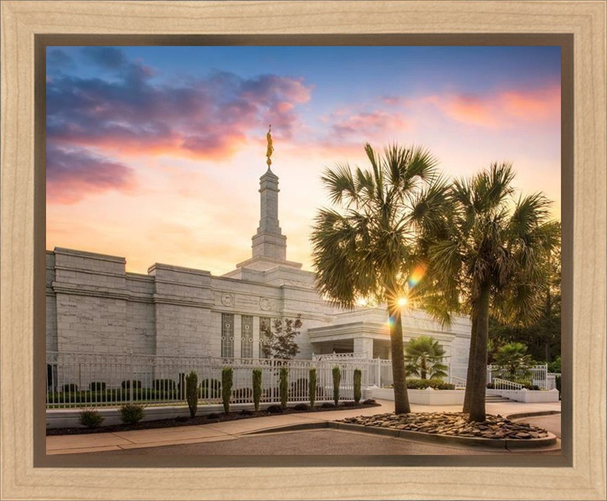 Columbia Palmetto Sunset Gallery Wrap
