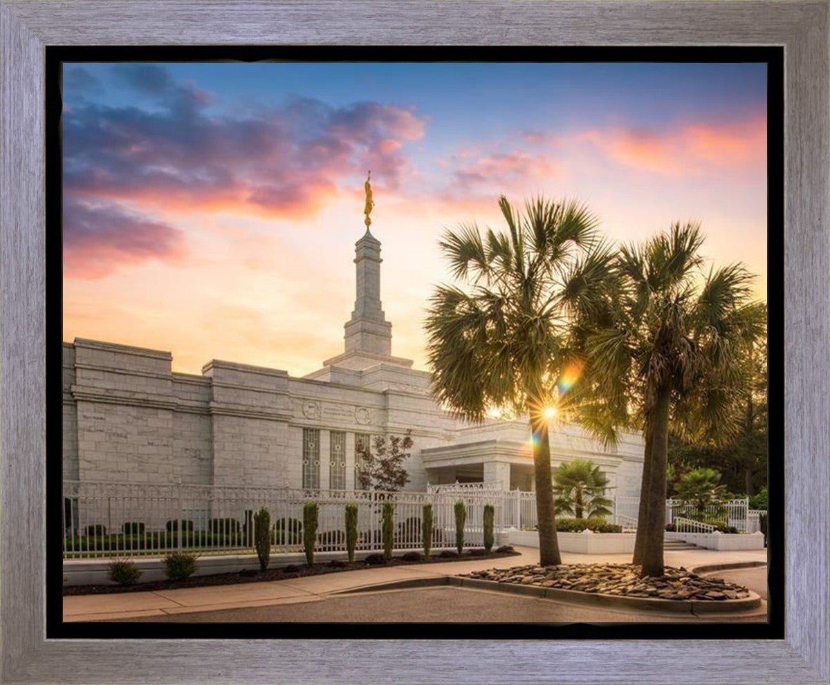 Columbia Palmetto Sunset Gallery Wrap