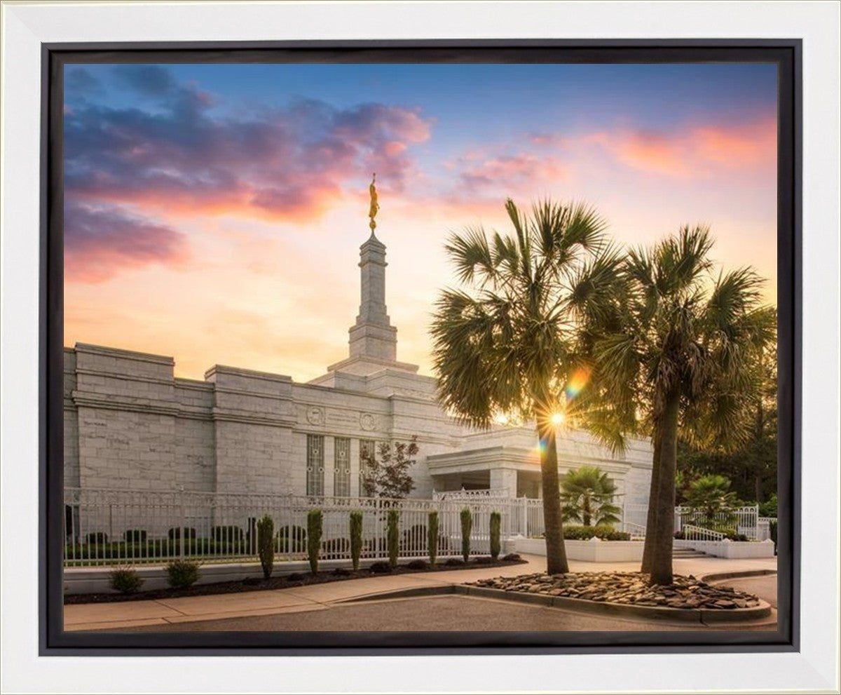 Columbia Palmetto Sunset Gallery Wrap