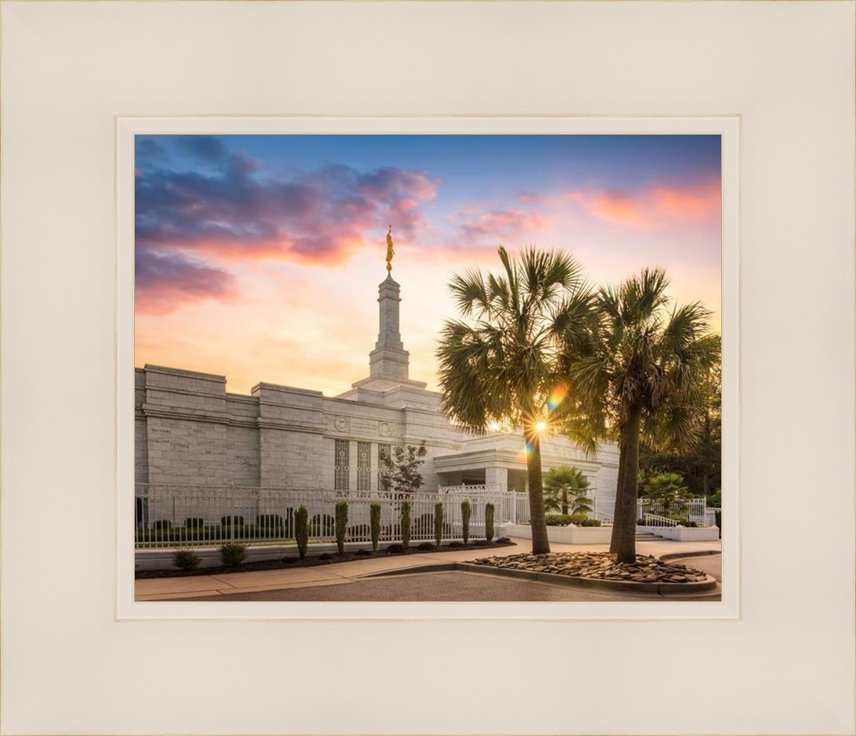 Columbia Palmetto Sunset