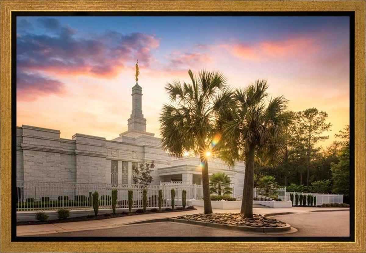Columbia Palmetto Sunset Gallery Wrap