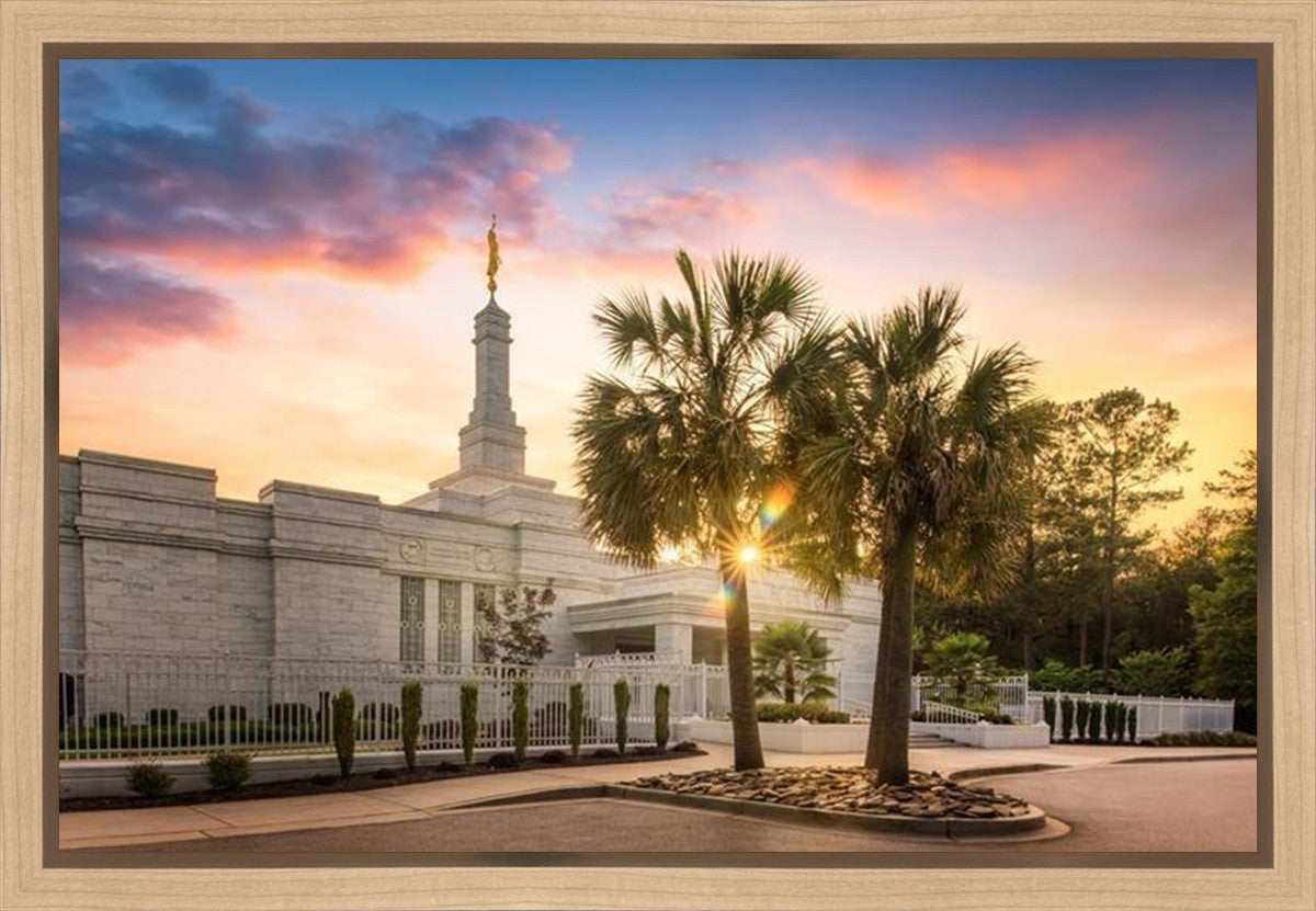 Columbia Palmetto Sunset Gallery Wrap