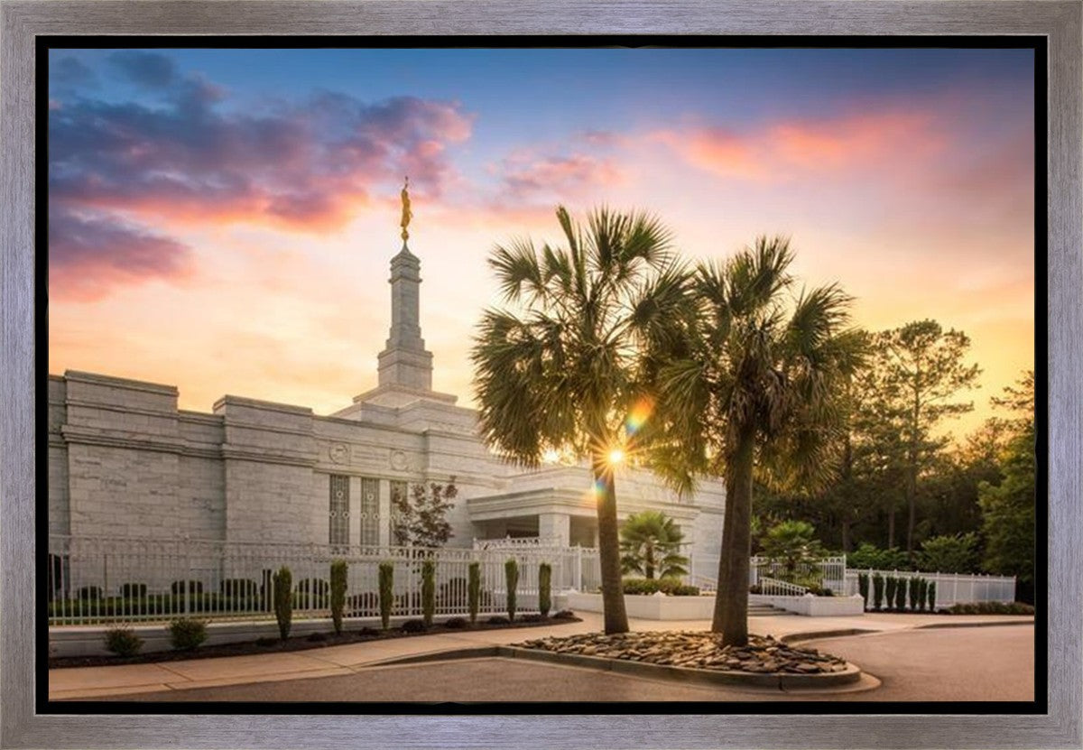 Columbia Palmetto Sunset Gallery Wrap