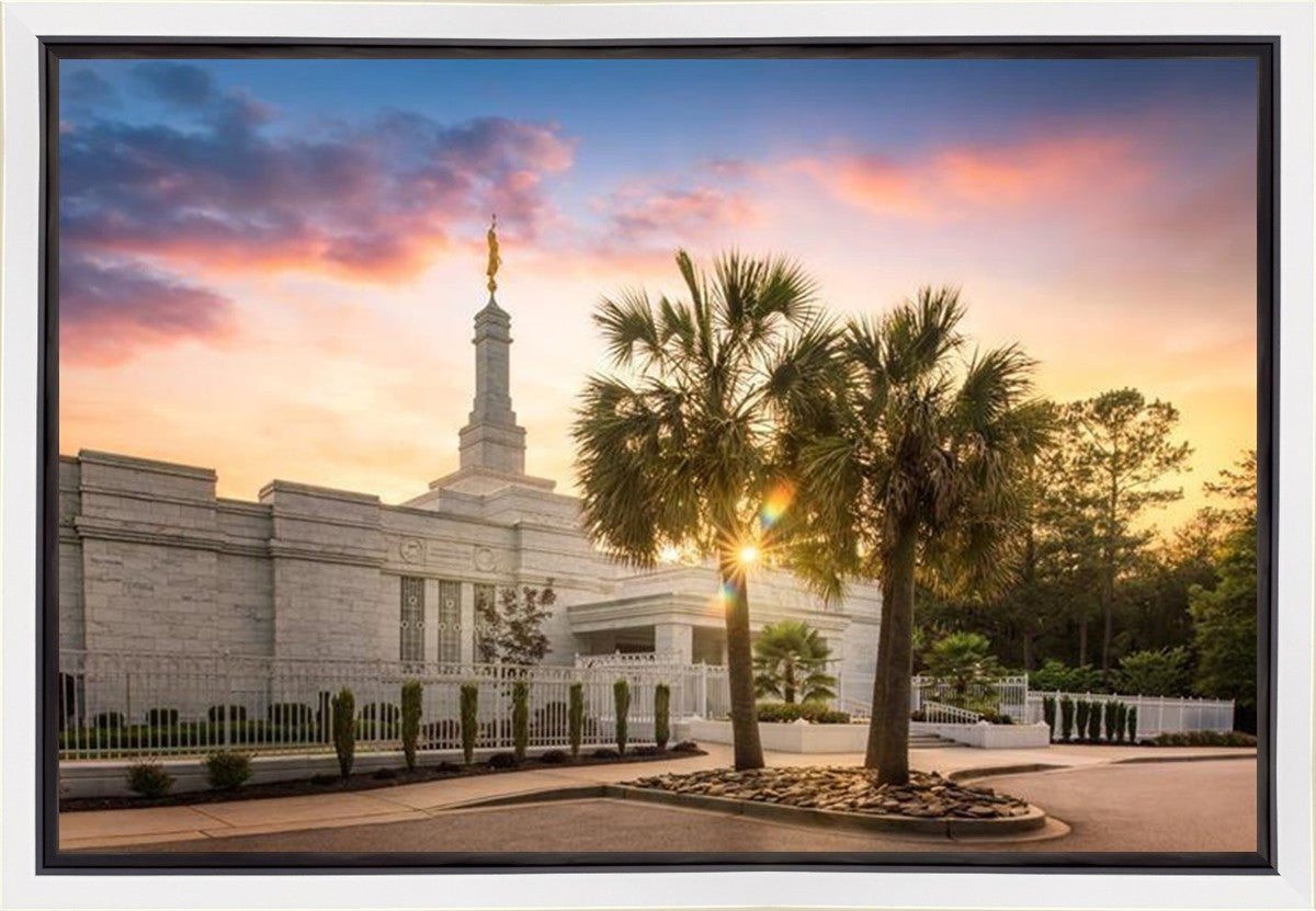 Columbia Palmetto Sunset Gallery Wrap
