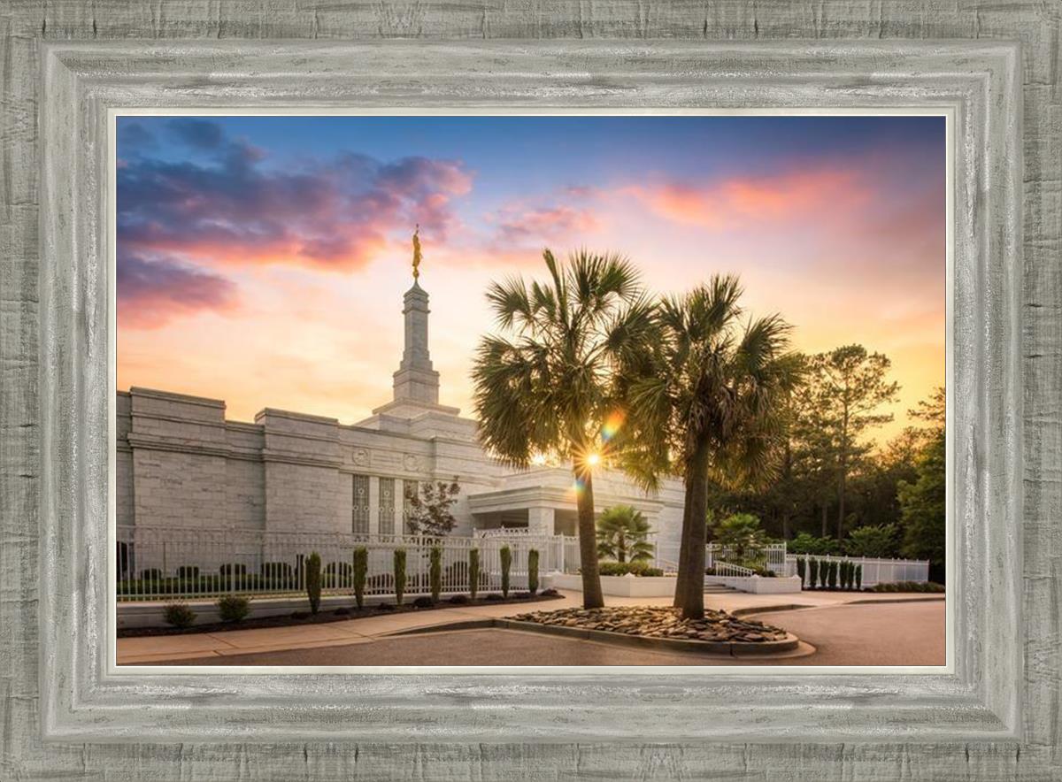 Columbia Palmetto Sunset