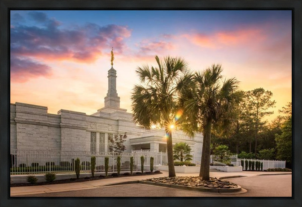 Columbia Palmetto Sunset Gallery Wrap