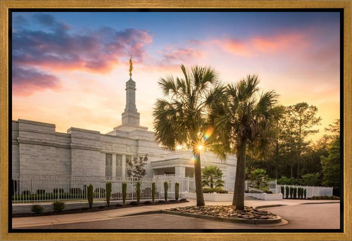 Columbia Palmetto Sunset Gallery Wrap