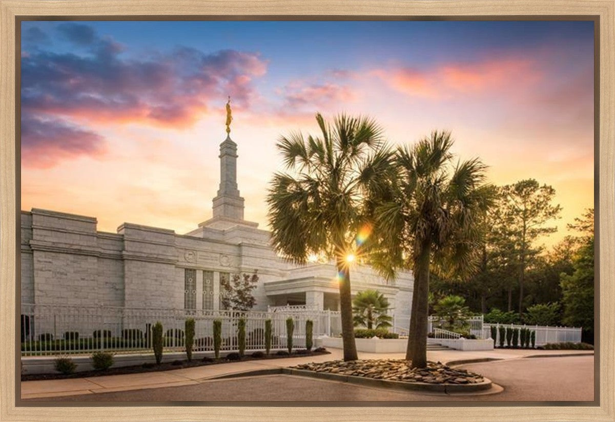 Columbia Palmetto Sunset Gallery Wrap