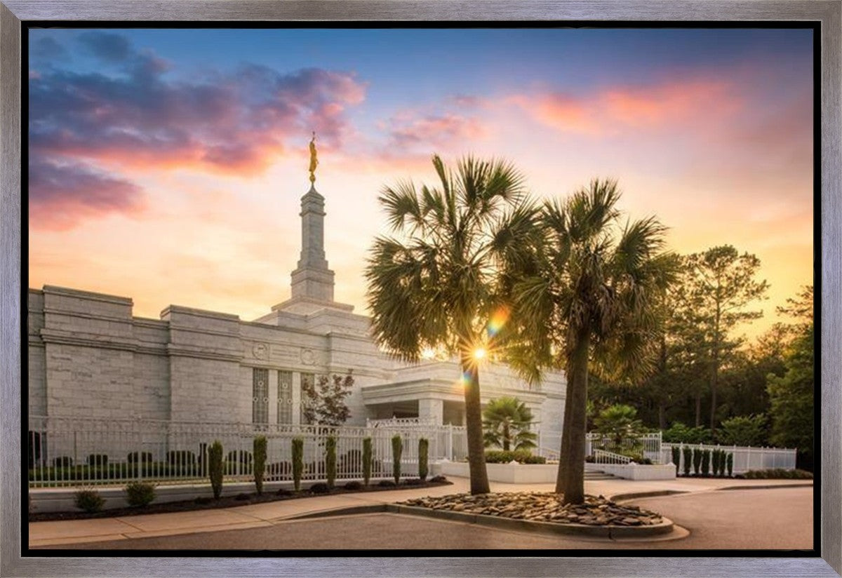 Columbia Palmetto Sunset Gallery Wrap