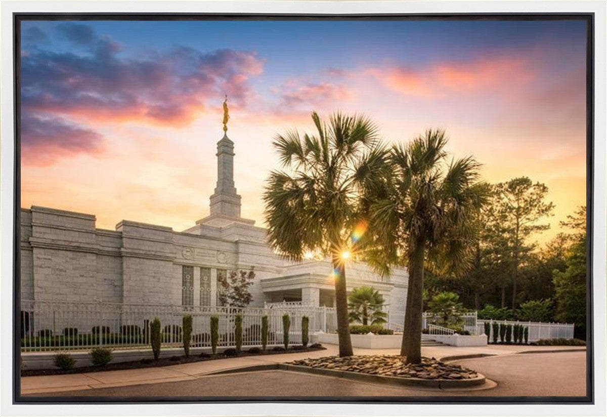 Columbia Palmetto Sunset Gallery Wrap