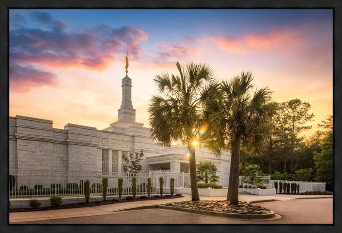 Columbia Palmetto Sunset Gallery Wrap