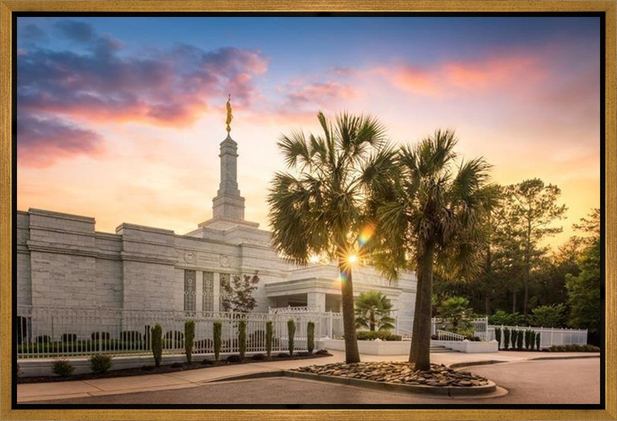 Columbia Palmetto Sunset Gallery Wrap