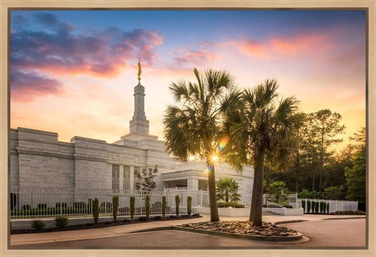 Columbia Palmetto Sunset Gallery Wrap