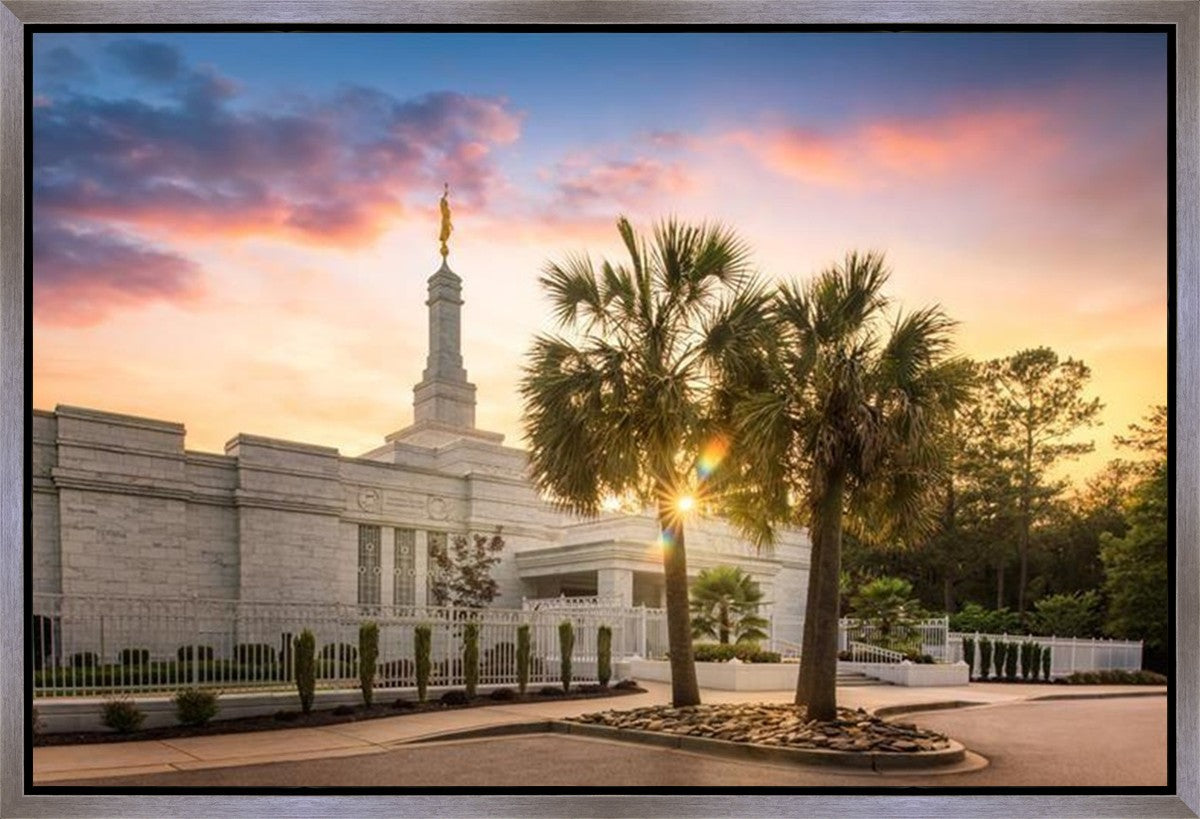 Columbia Palmetto Sunset Gallery Wrap