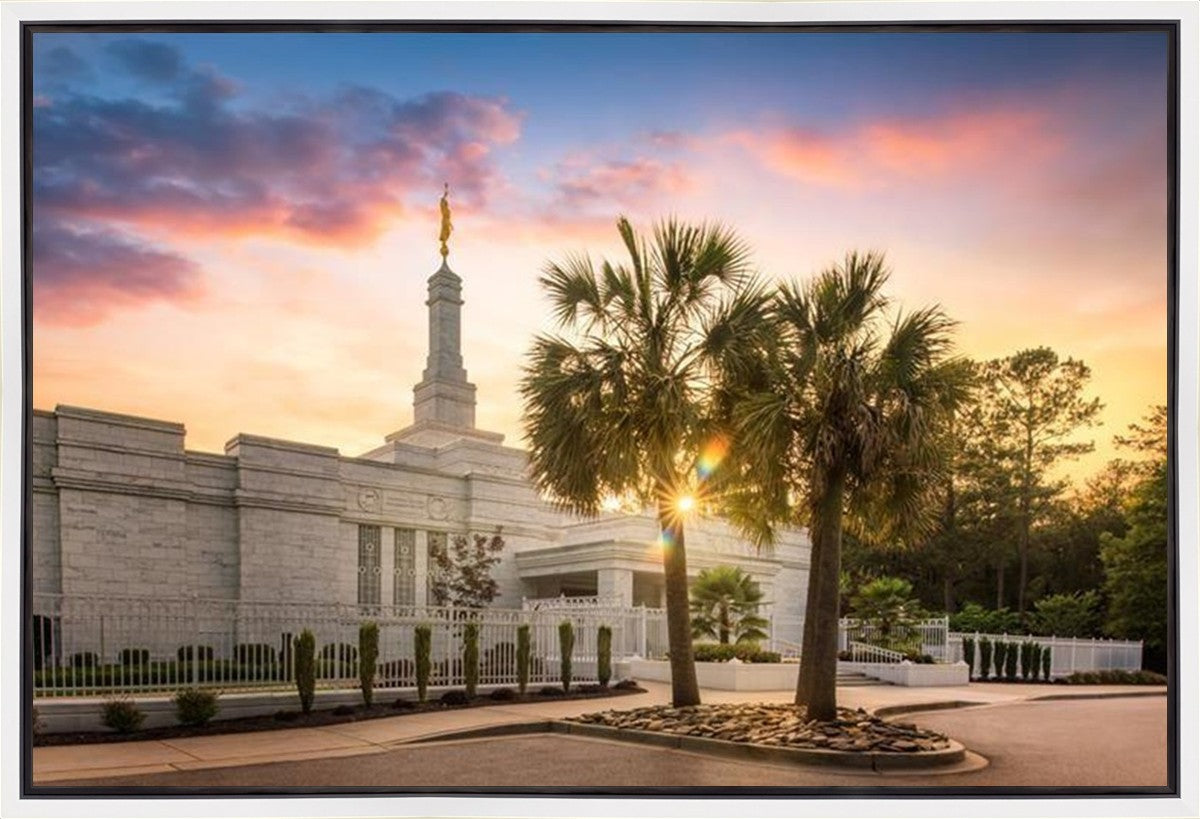 Columbia Palmetto Sunset Gallery Wrap