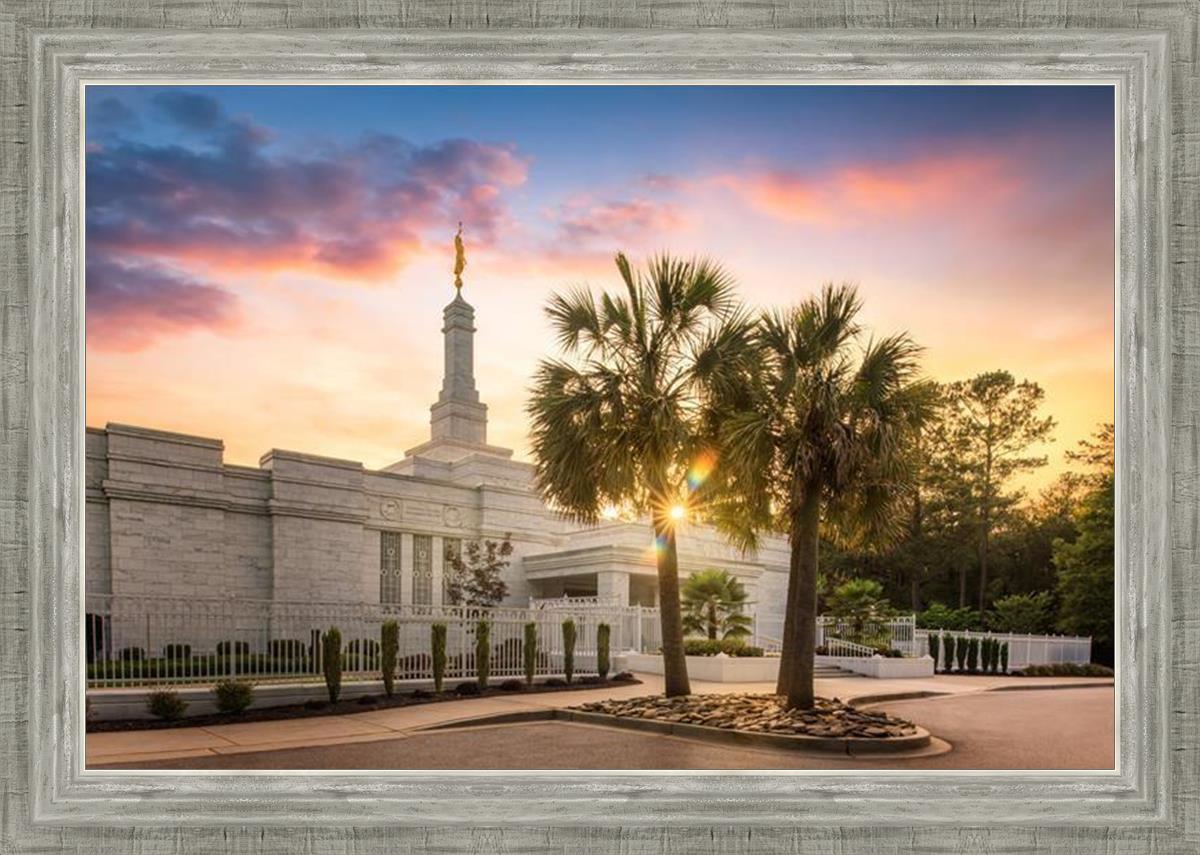 Columbia Palmetto Sunset