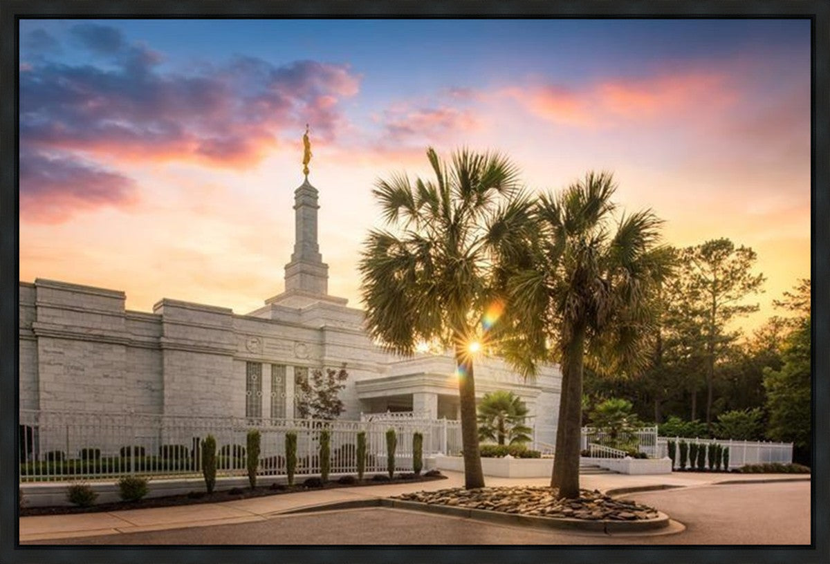 Columbia Palmetto Sunset Gallery Wrap