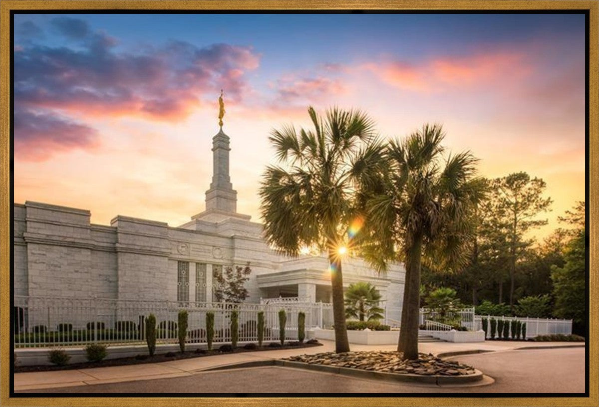Columbia Palmetto Sunset Gallery Wrap