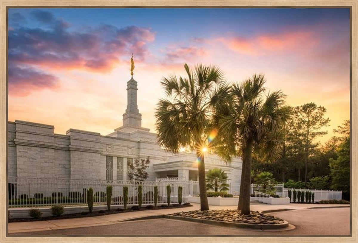 Columbia Palmetto Sunset Gallery Wrap