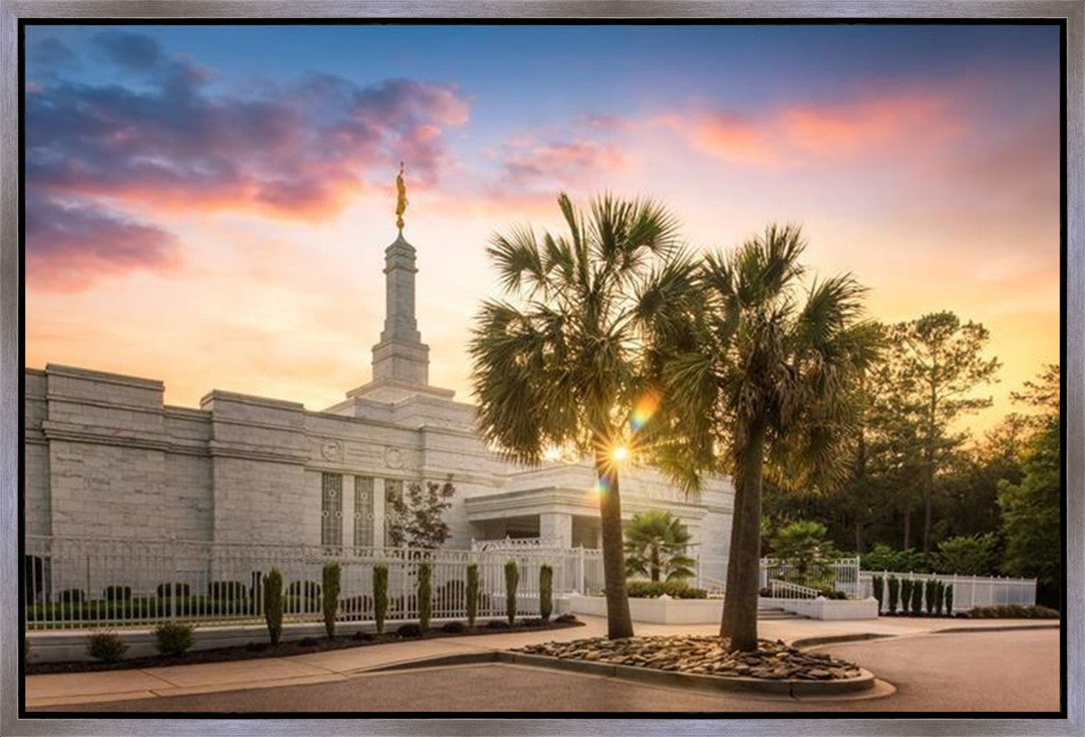 Columbia Palmetto Sunset Gallery Wrap