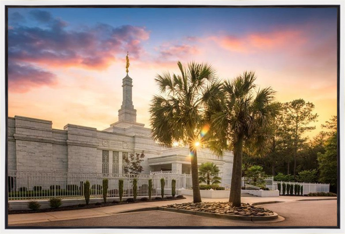 Columbia Palmetto Sunset Gallery Wrap