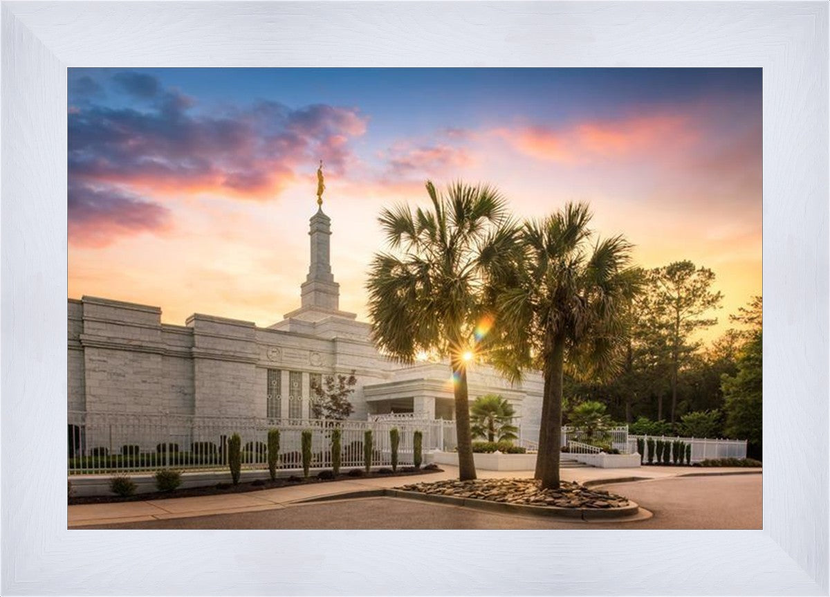 Columbia Palmetto Sunset