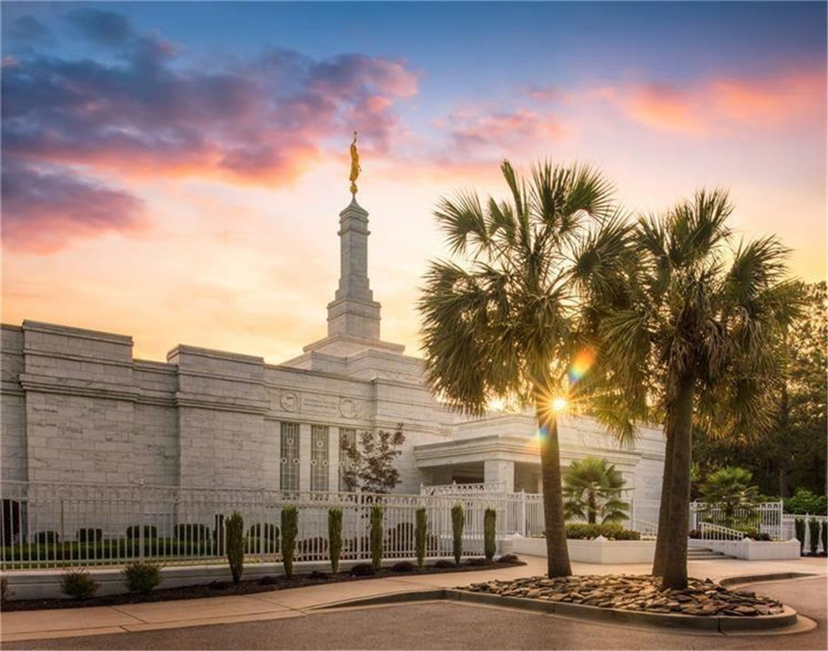 Columbia Palmetto Sunset Gallery Wrap