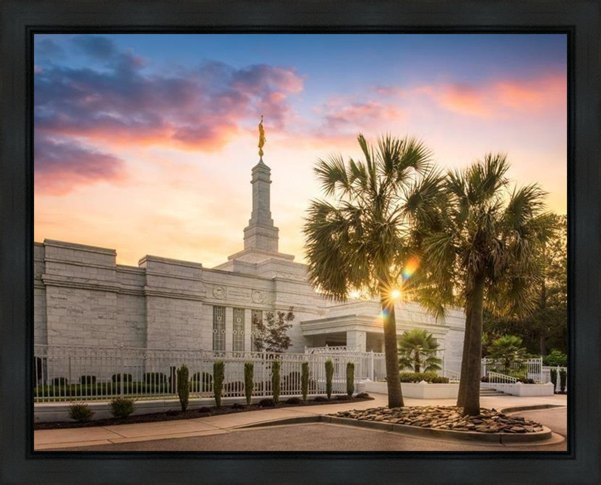 Columbia Palmetto Sunset Gallery Wrap