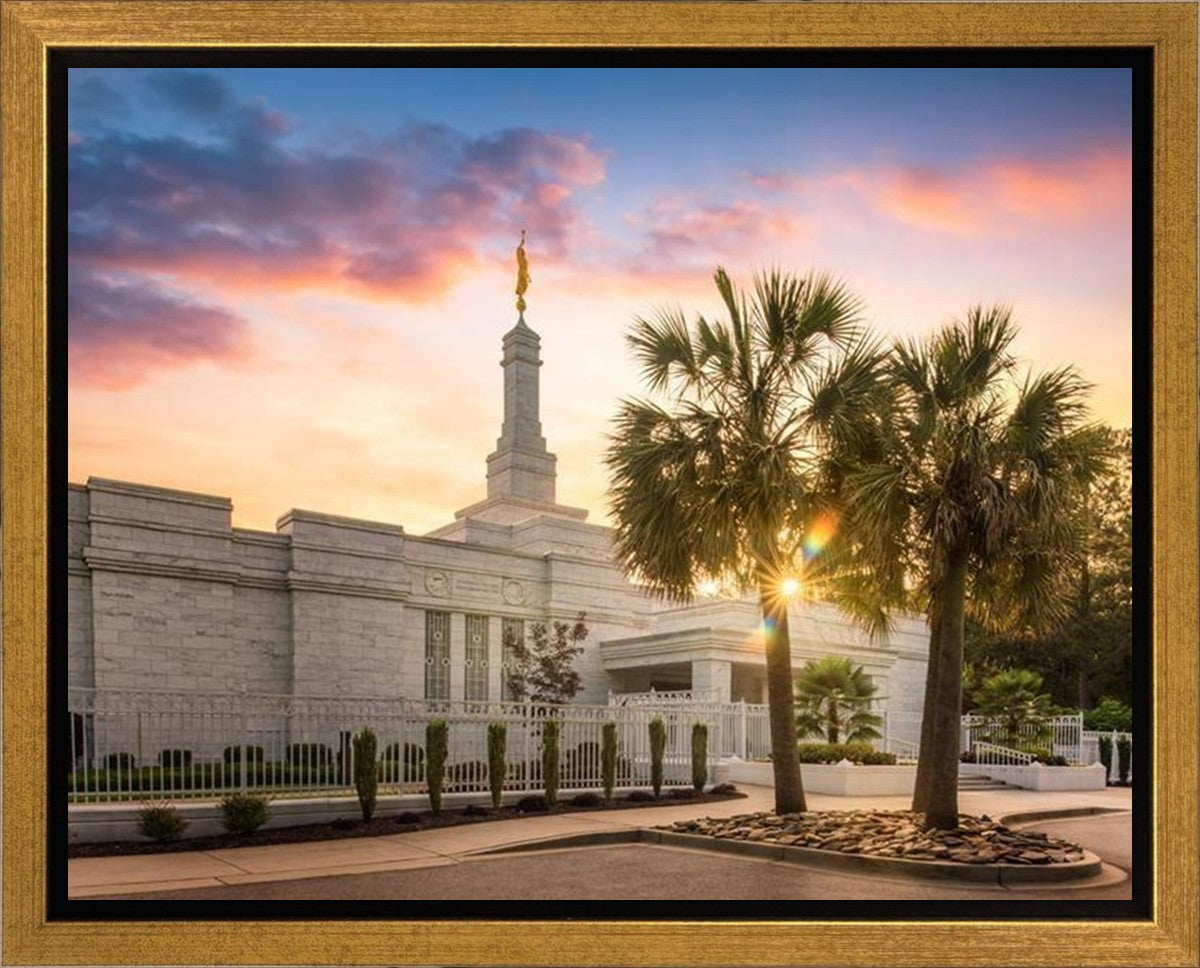 Columbia Palmetto Sunset